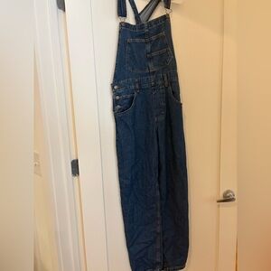 Free people ziggy overalls
